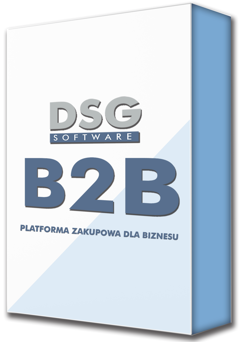 platforma B2B DSG