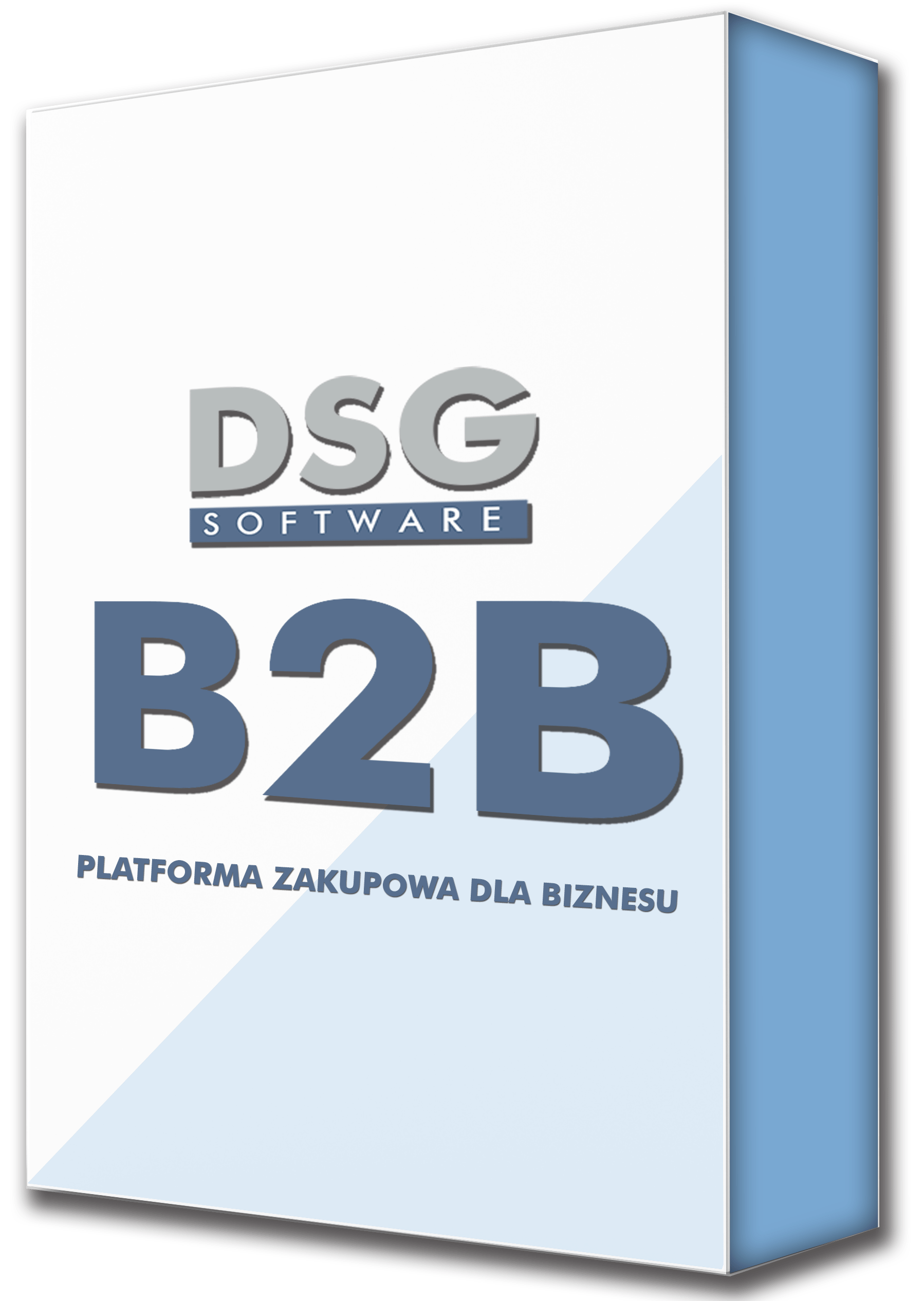 platforma B2B DSG