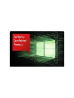 Fujitsu Microsoft Windows Server 2019 Standard